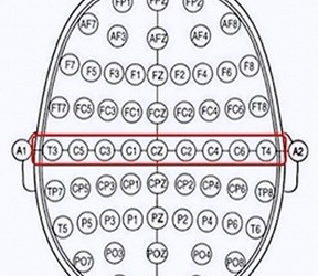 Ever wondered how to ‘train your brain’